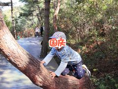 -丹东凤凰山景区