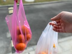 -洲晓鲜·舟山海鲜大排档(朱家尖风景区店)