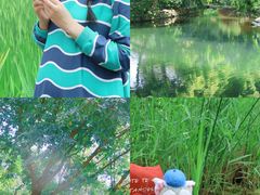 -成都市活水公园