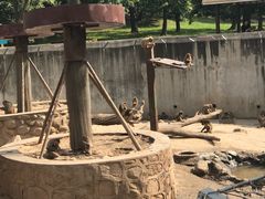 -西安秦岭野生动物园