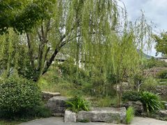 -春色如许·茶食餐厅(桃李春风店)