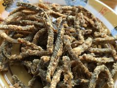 -乐山第一家临江鳝丝(茶坊路店)