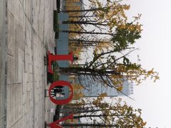 -百林公园-两江幸福广场