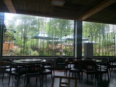 柴火鸡-谌家院子