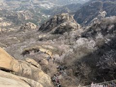 -北京凤凰岭
