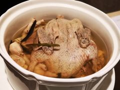 -千灯盛汇·头牌粤菜(致越优城店)