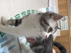 -瑞派宠物医院·24h·骨外科·皮肤科·全科宠物医疗转诊中心(沈阳浑南院)