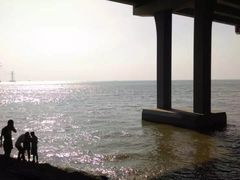 -宝安西湾红树林湿地公园