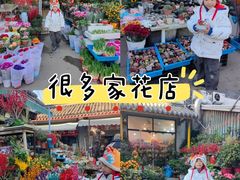 -平吉花卉市场