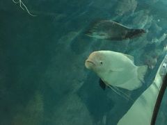 -苏州海洋馆