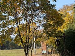 -黄陂区野村谷景区
