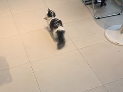 -怪兽屋·羊驼·猫咖·狗咖(俊华广场店)