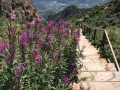 -白草畔自然风景区