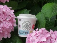 -Punchline Coffee&Roaster(同济大学店)