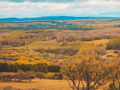 -塞罕坝国家级自然保护区