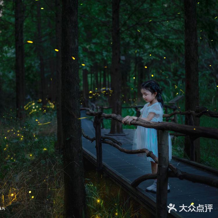 🌟莫干山zui梦幻的萤火虫基地,私藏的宝藏地