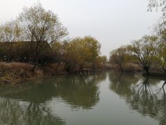 -长兴太湖图影湿地文化园