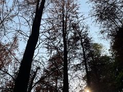 -广州市帽峰山景区