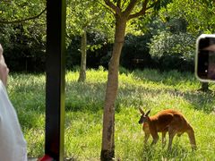 -杭州野生动物世界