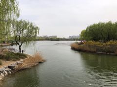 -大兴滨河森林公园