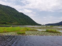 -腾冲北海湿地