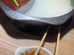 菌红鸳鸯锅-彤德莱火锅(乐陵路店)