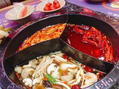 -蜀大侠火锅(森兰花园城店)