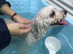 -汪星球宠物生活馆