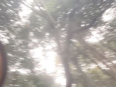 -青城道汤池