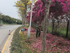 -光明小镇欢乐田园