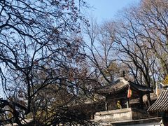 -颐和园