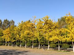 -沈阳市东陵公园