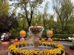 -郑州方特梦幻王国