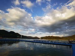 -酒仙湖景区