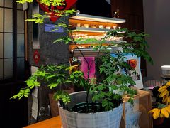 -溯洄咖啡VORTEX COFFEE