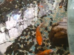 -如家酒店(上海陆家嘴东方明珠浦东大道地铁站店)