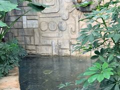 -郑州银基黄帝宫御温泉
