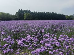 -渤公岛生态公园