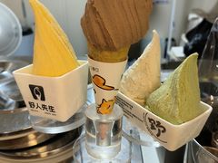 -野人先生现做冰淇淋(北京环宇荟店)
