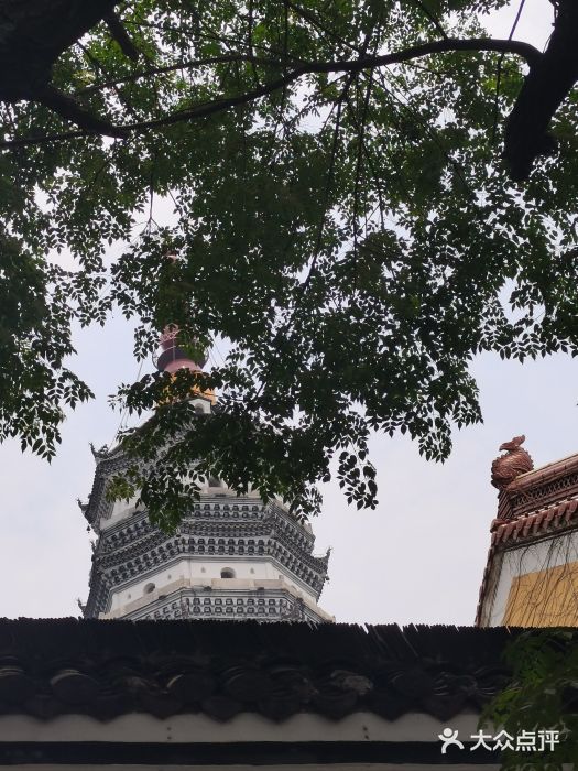 迎江寺图片