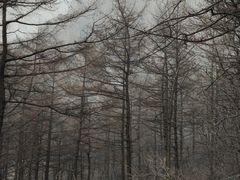 -崂山巨峰游览区