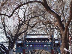 -北京国子监胡同