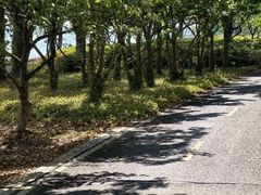 -阳澄湖半岛旅游度假区