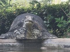 -汤山一号温泉度假区