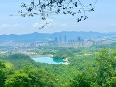 -大奇山国家森林公园
