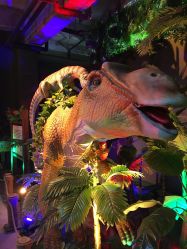 -恐龙探索乐园(磁器口店)