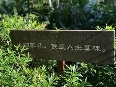 -香积寺