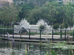 -映月湖公园