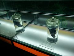 -青岛葡萄酒博物馆