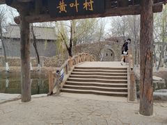 -桃花堤公园